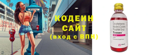 ешки Снежногорск