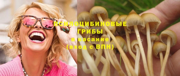 a pvp Снежинск