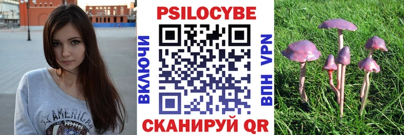 Галлюциногенные грибы мицелий  купить наркоту  Ильский 